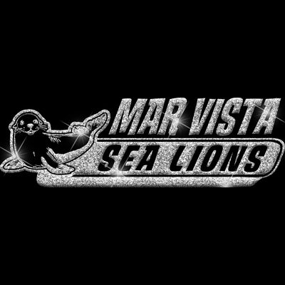 GLT102 SILVER GLITTER Thumbnail